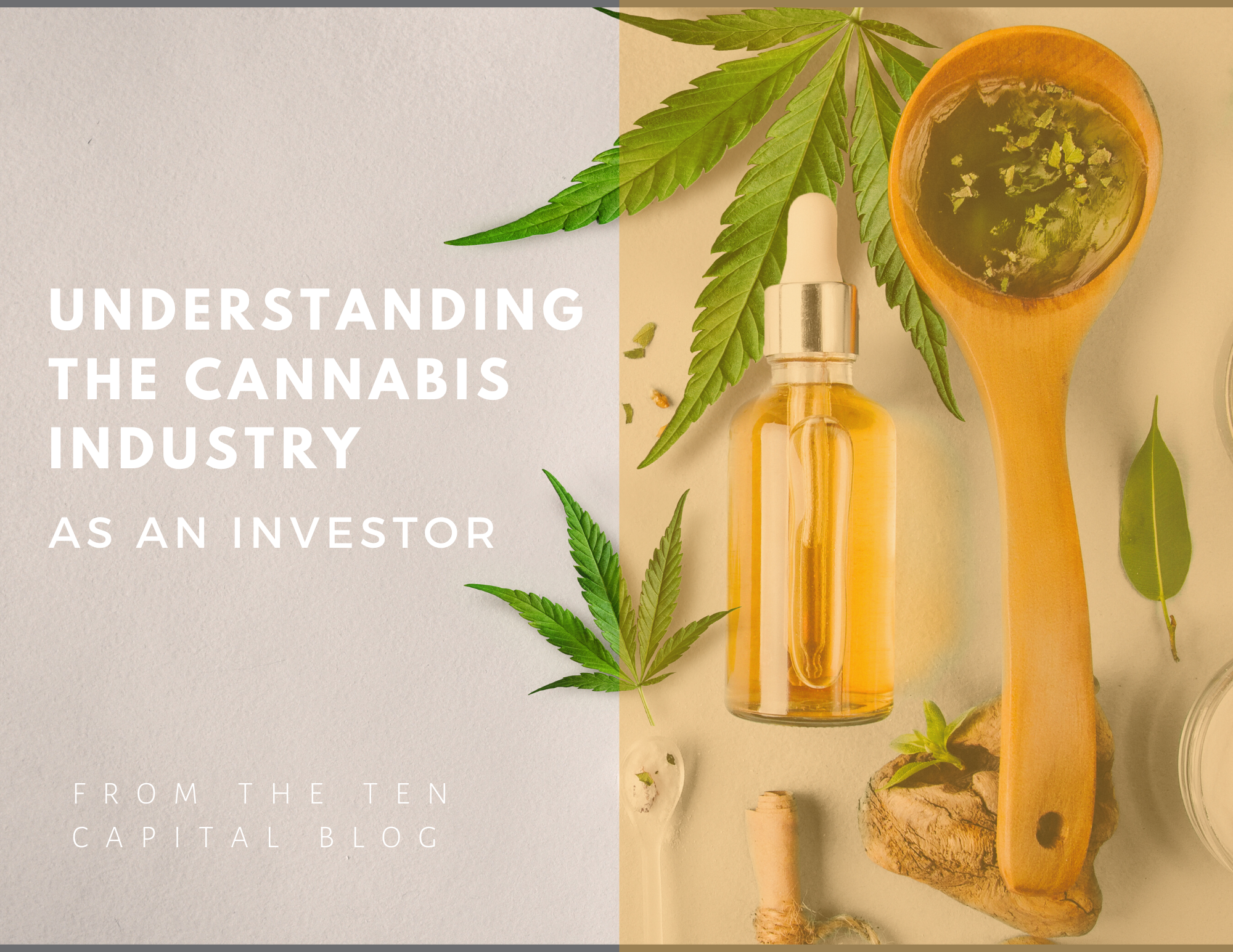 Investing in Cannabis, Cannabusiness